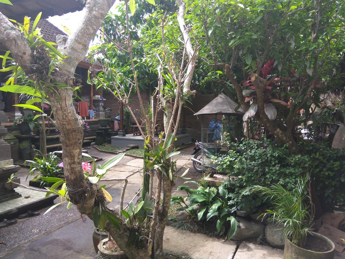 The Hidden Bali Inn Убуд Екстер'єр фото